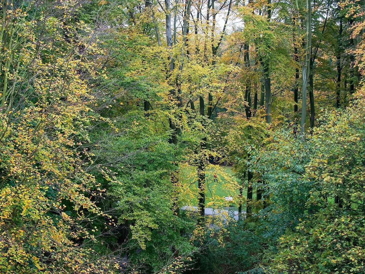 Bizstay Park Central Executive Hága 0*,  Hollandia